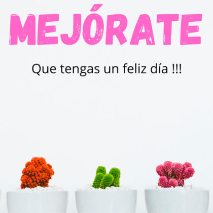 tarjeta-mejorate-cactus