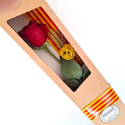 rosa-para-sant-jordi-barcelona