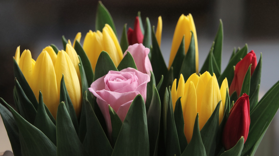 El Lenguaje Secreto de las Flores